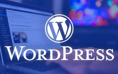 WordPress Avignon : Pourquoi c’est la plateforme idéale pour votre entreprise locale ?